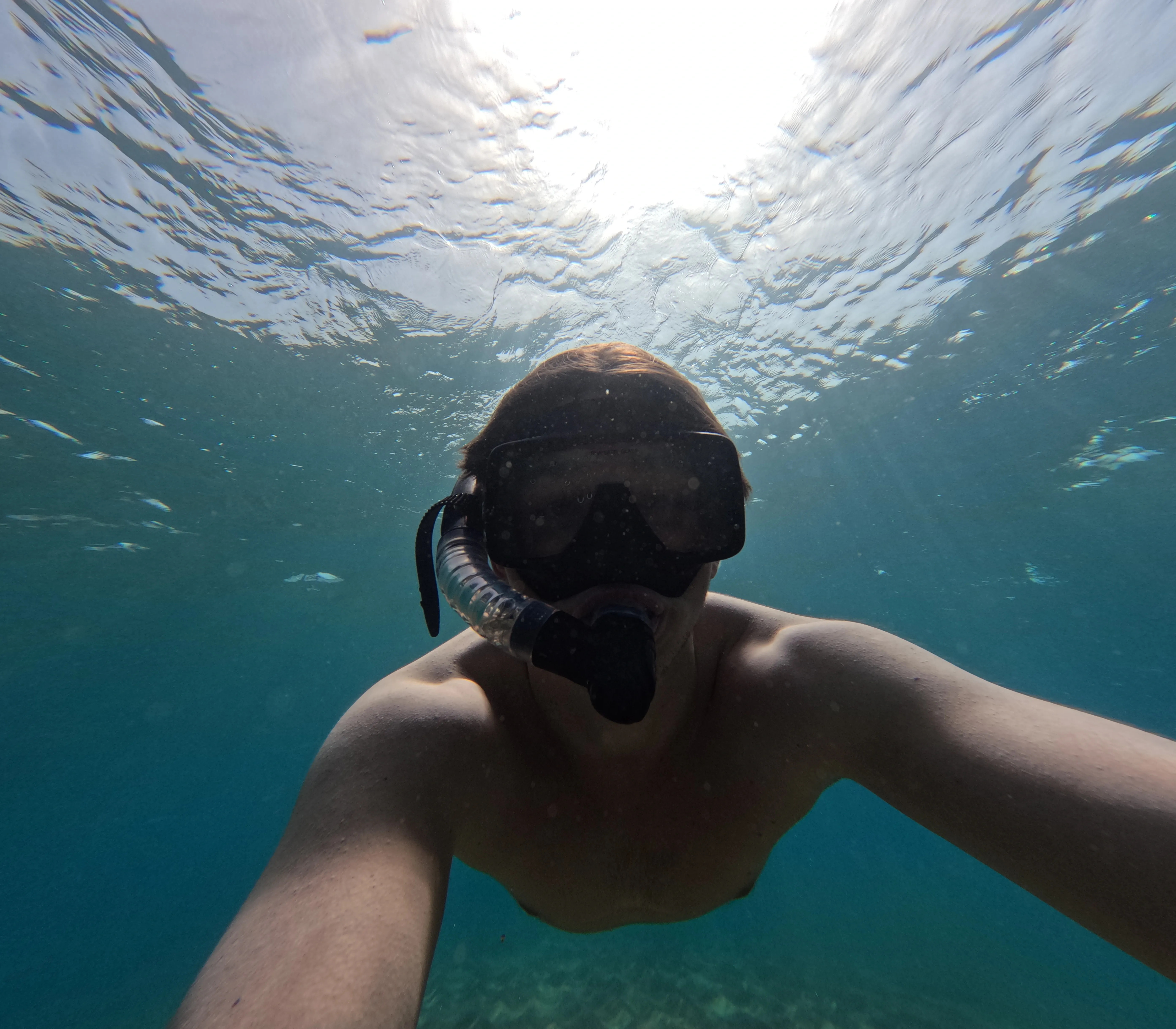 Photo of Roman Šeps freediving